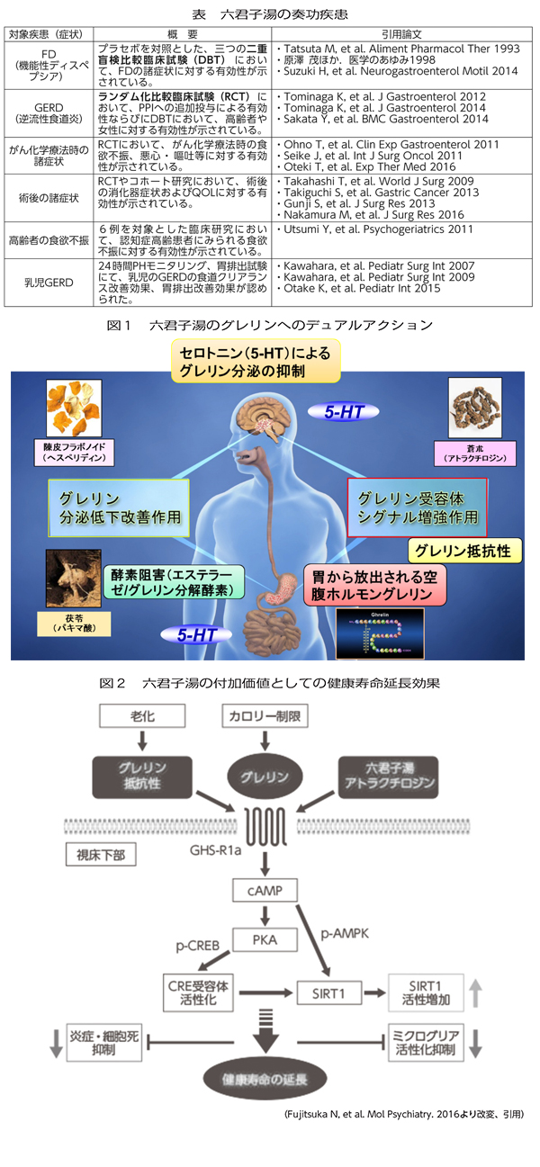 漢方 湯 六 君子