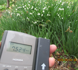 2136_07.jpg